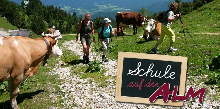 Auf der Stie-Alm