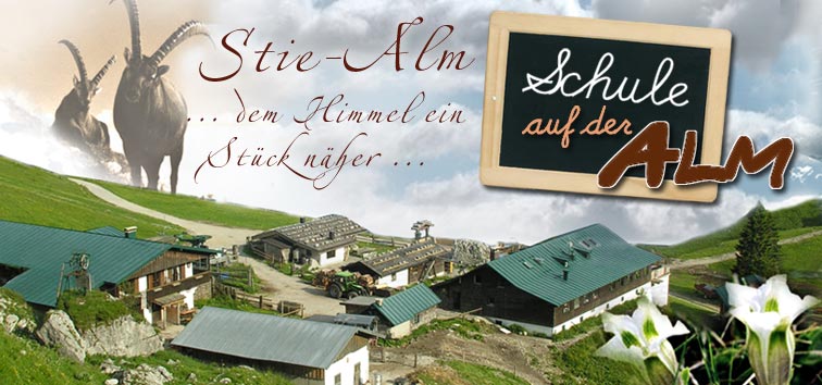 Stie-Alm